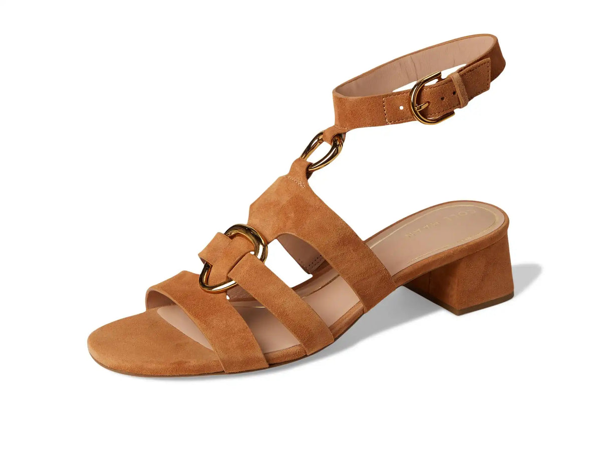 Women's Cole Haan Lyanna Link Ankle Strap Sandals
