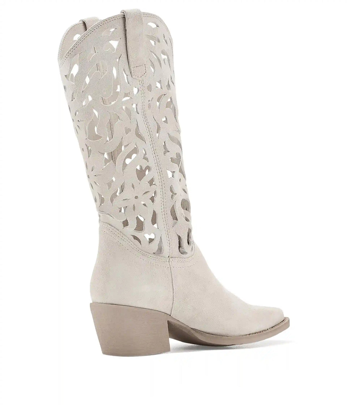 Women's Steve Madden Albany