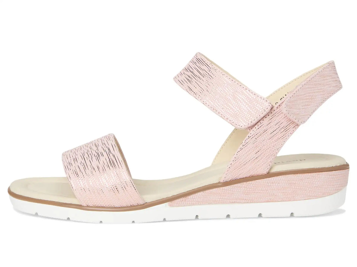 Women's David Tate Scala