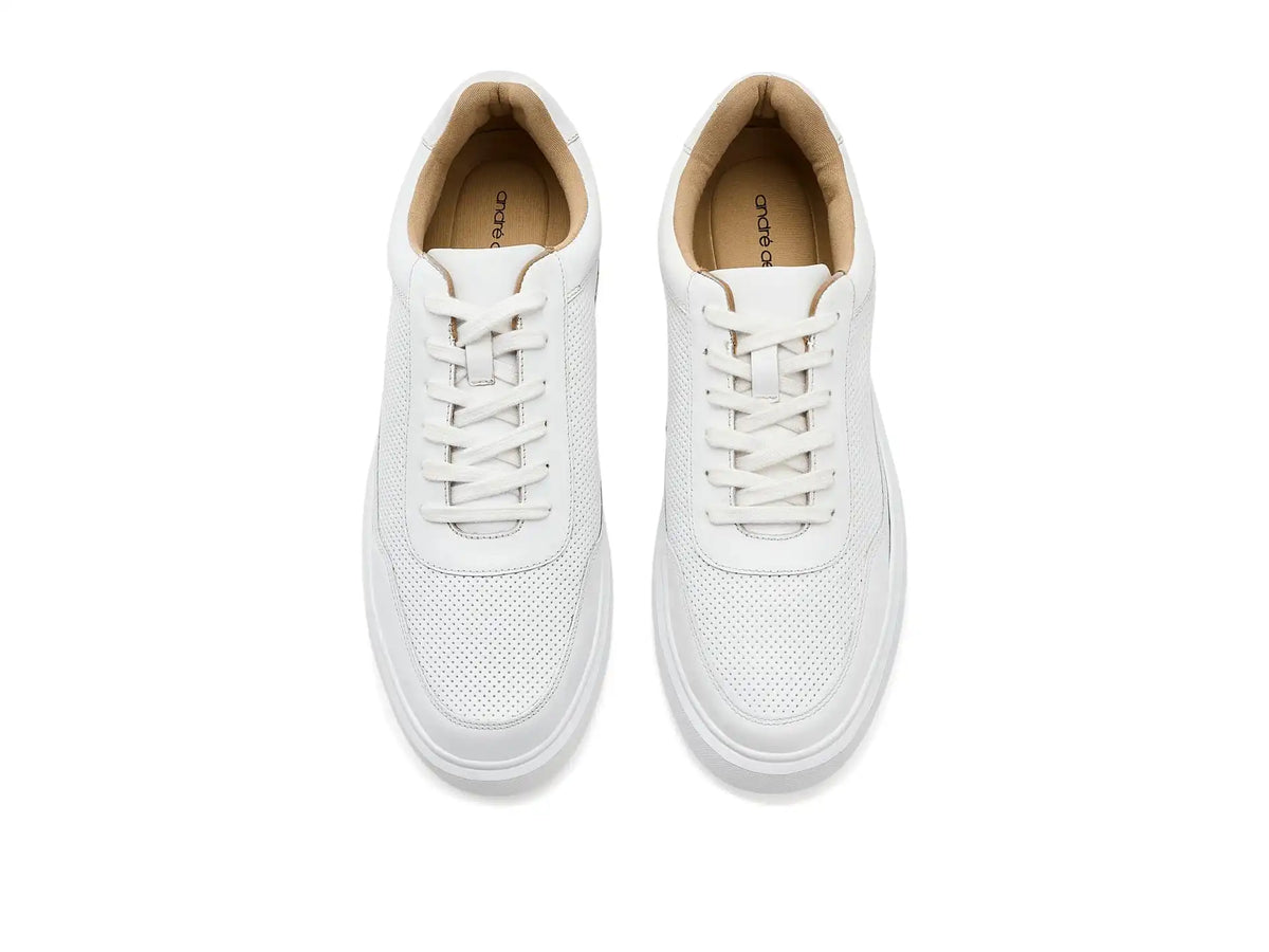Men's Andre Assous Andrew