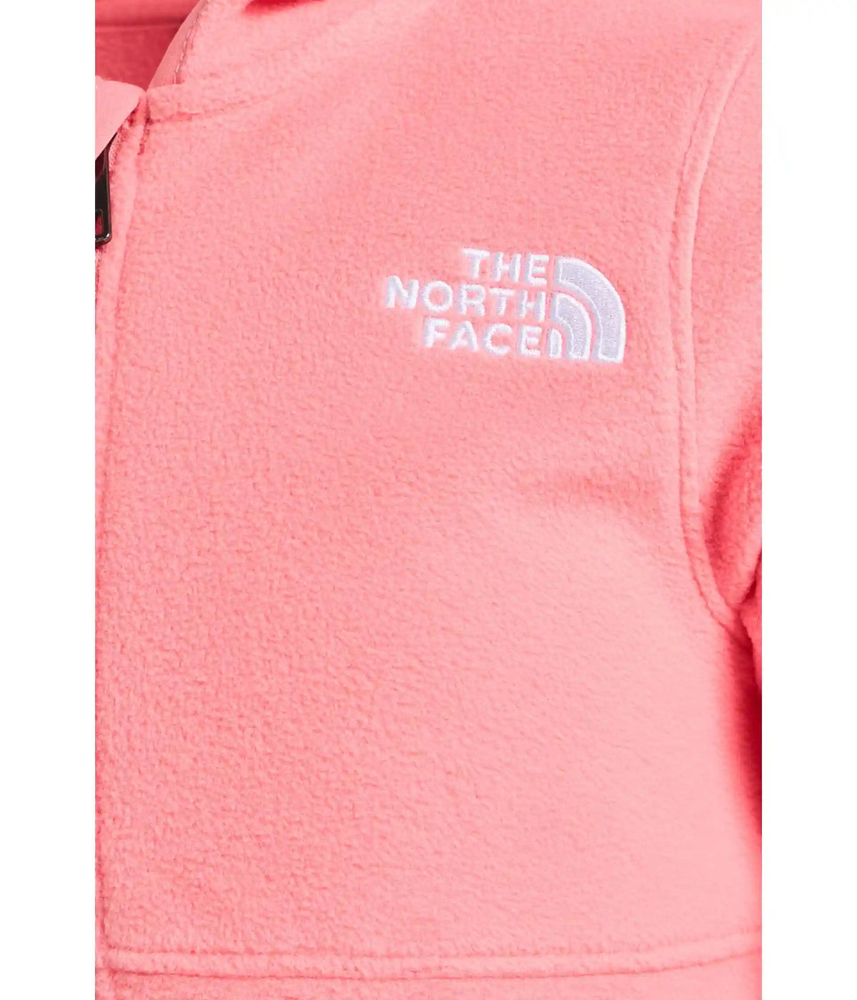The North Face Kids Glacier Full Zip Hoodie (Infant)