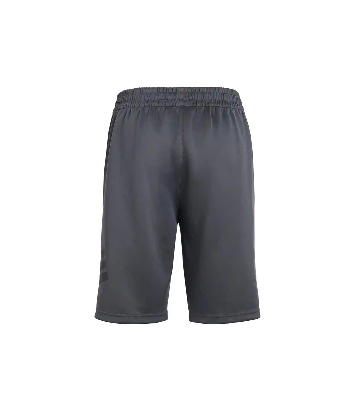 adidas Kids Icons Shorts (Big Kid)
