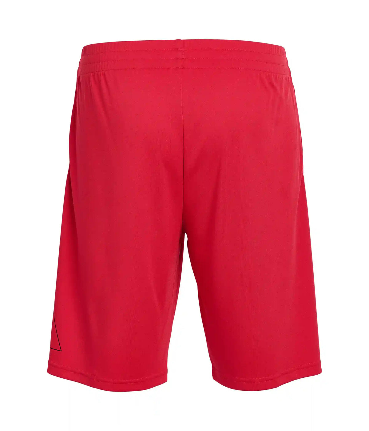 adidas Kids Essentials Big Logo Shorts (Big Kid)