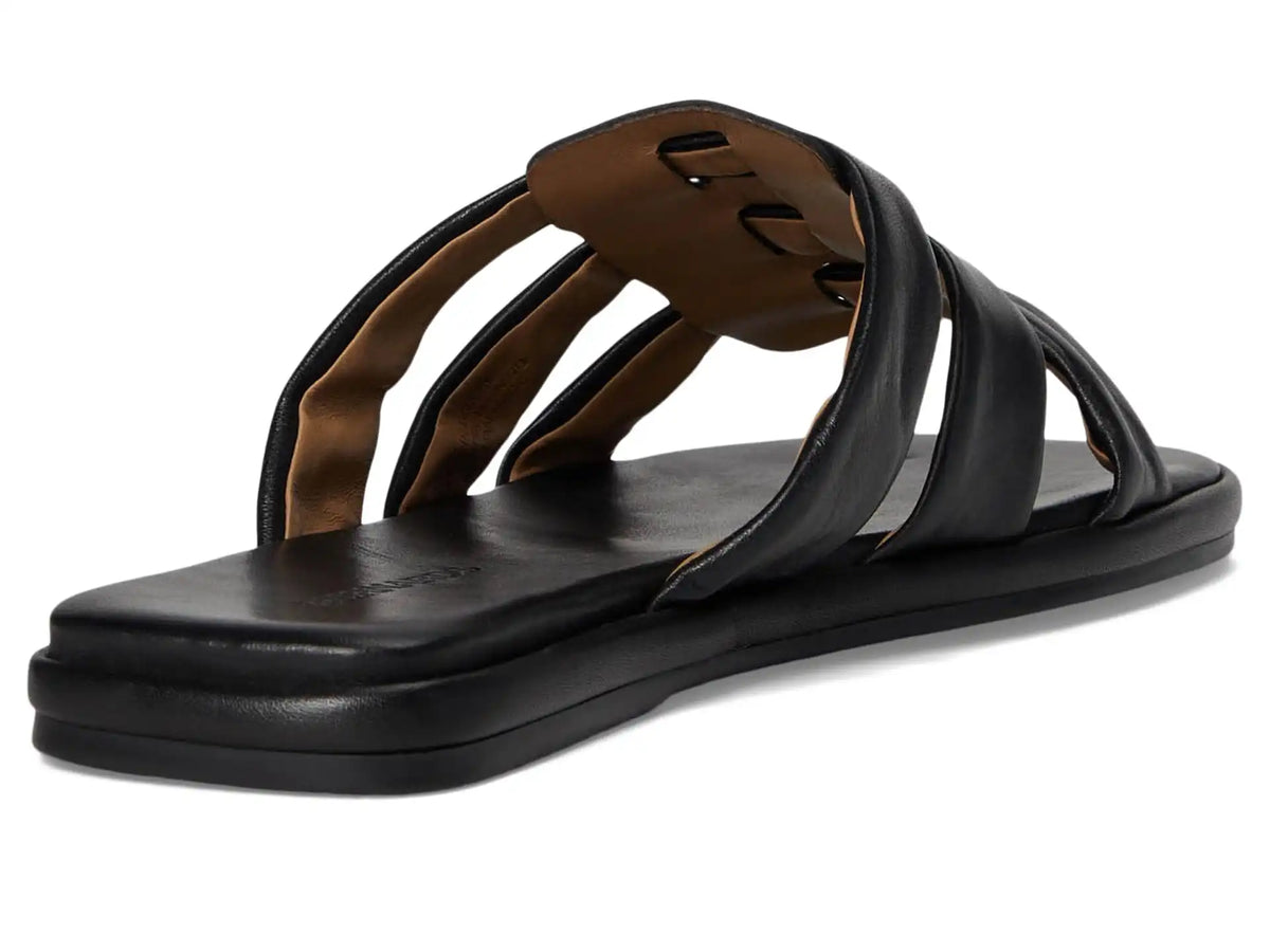 Women's Bernardo Tamer
