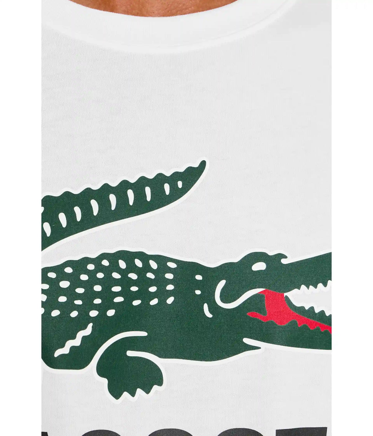 Men's Lacoste Printed Cotton T-Shirt