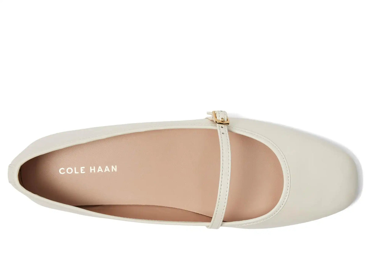 Women's Cole Haan Yelena Maryjane Ballets