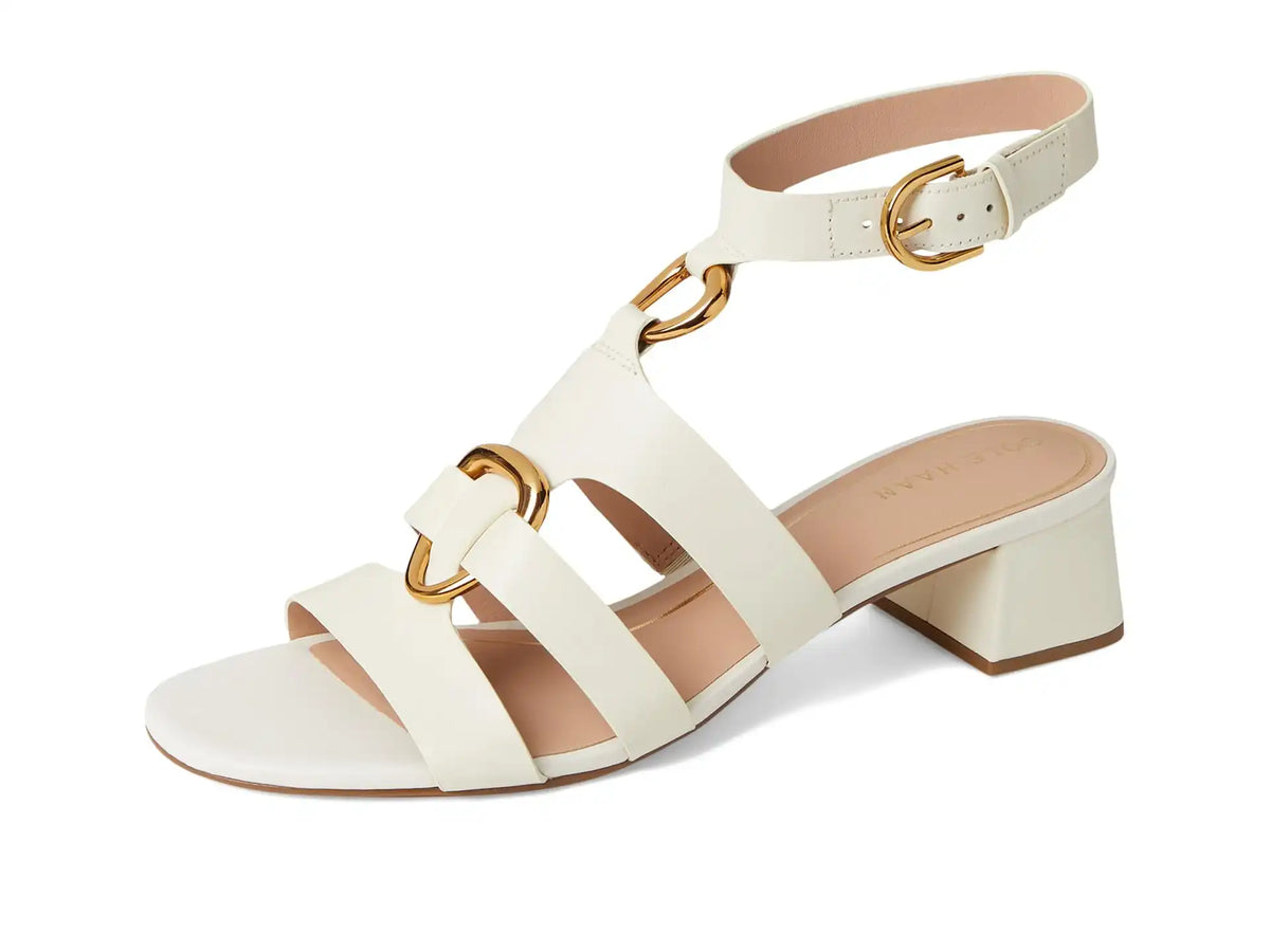 Women's Cole Haan Lyanna Link Ankle Strap Sandals