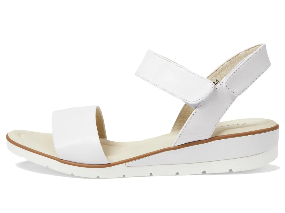 Women's David Tate Scala