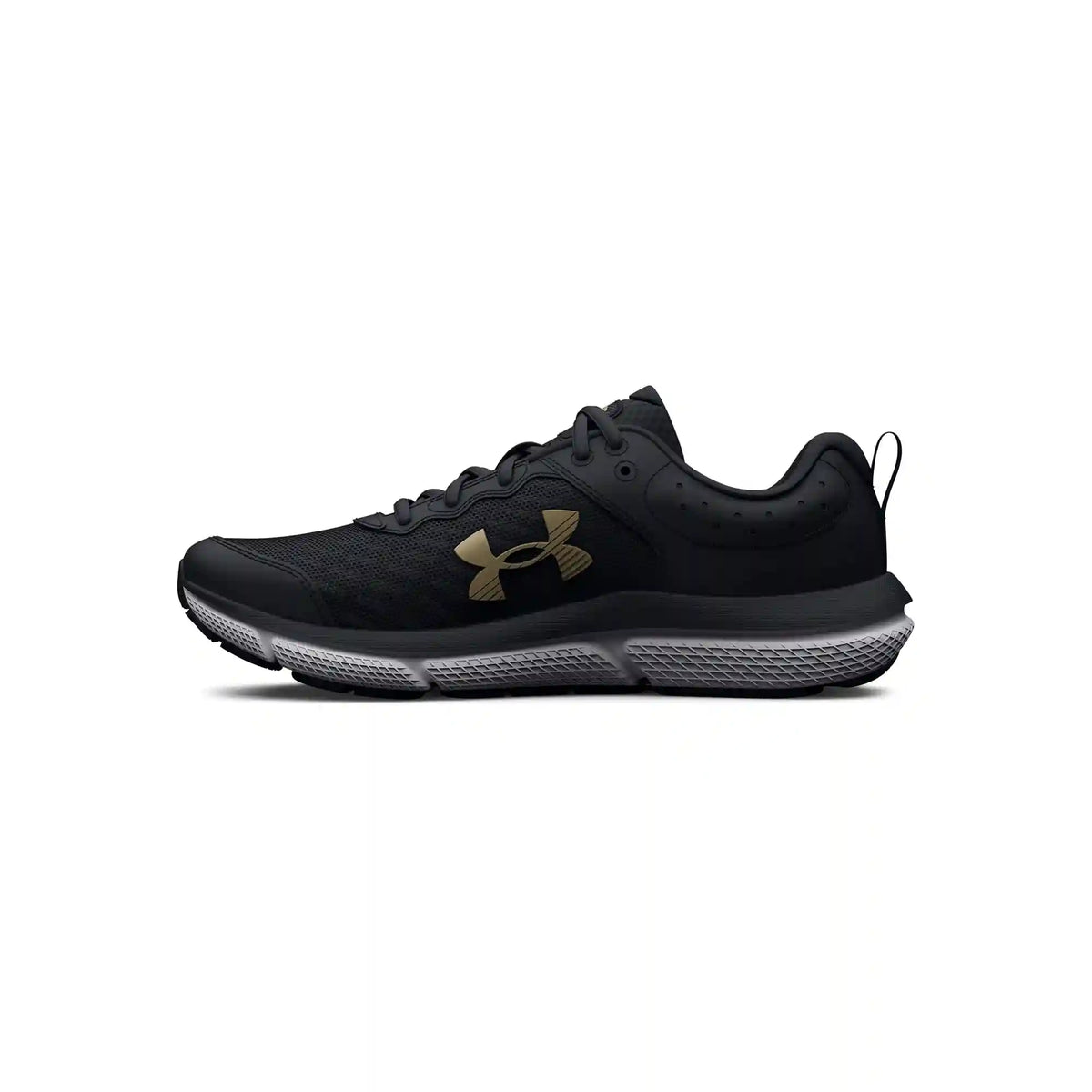 Under Armour Kids Assert 10 (Big Kid)