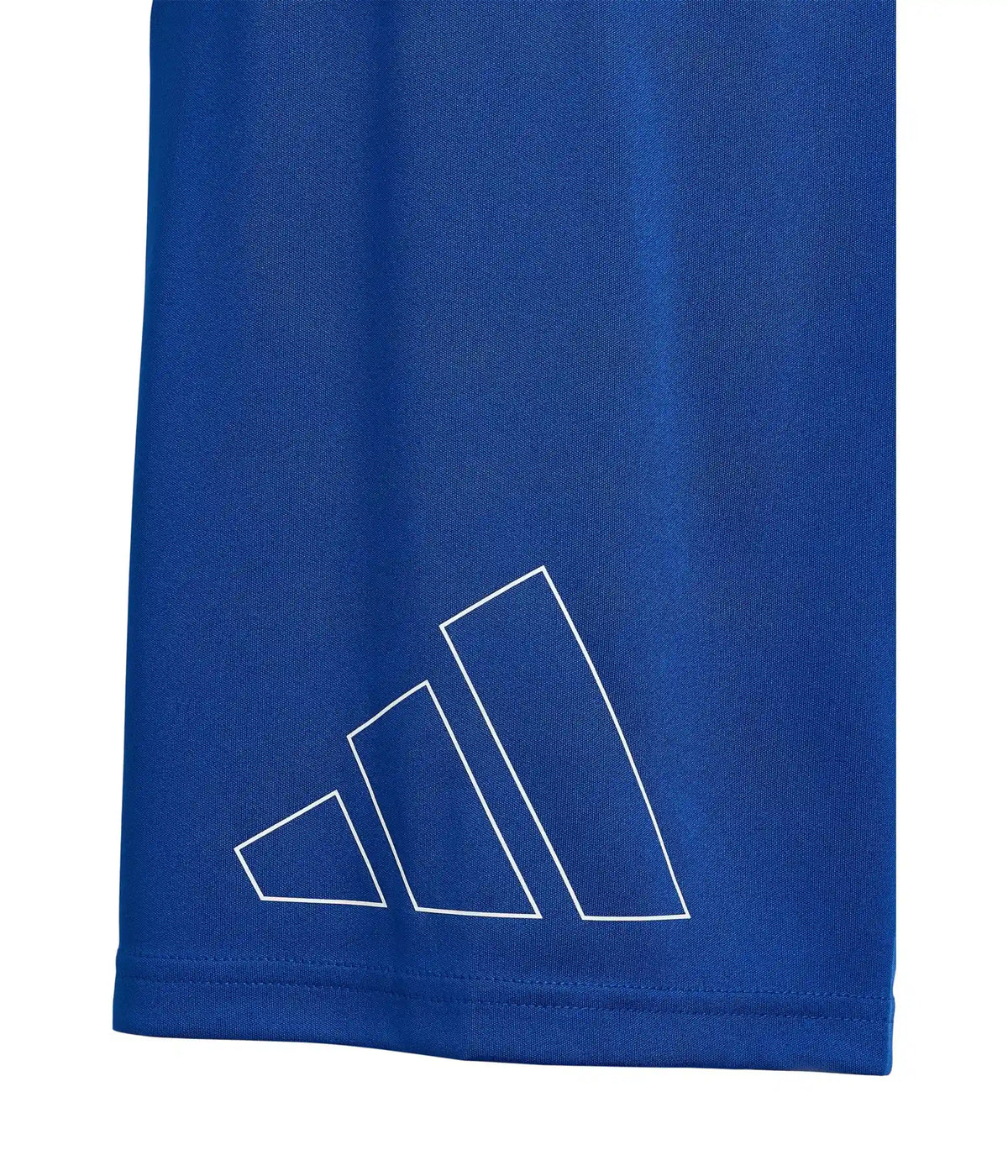 adidas Kids Essentials Big Logo Shorts (Big Kid)